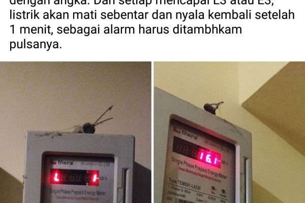 Sistem Pulsa Listrik